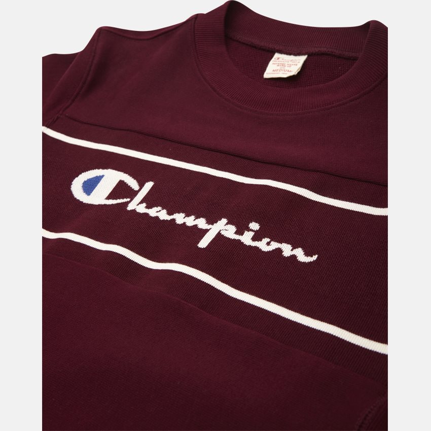 Champion Sweatshirts 210981 BDX