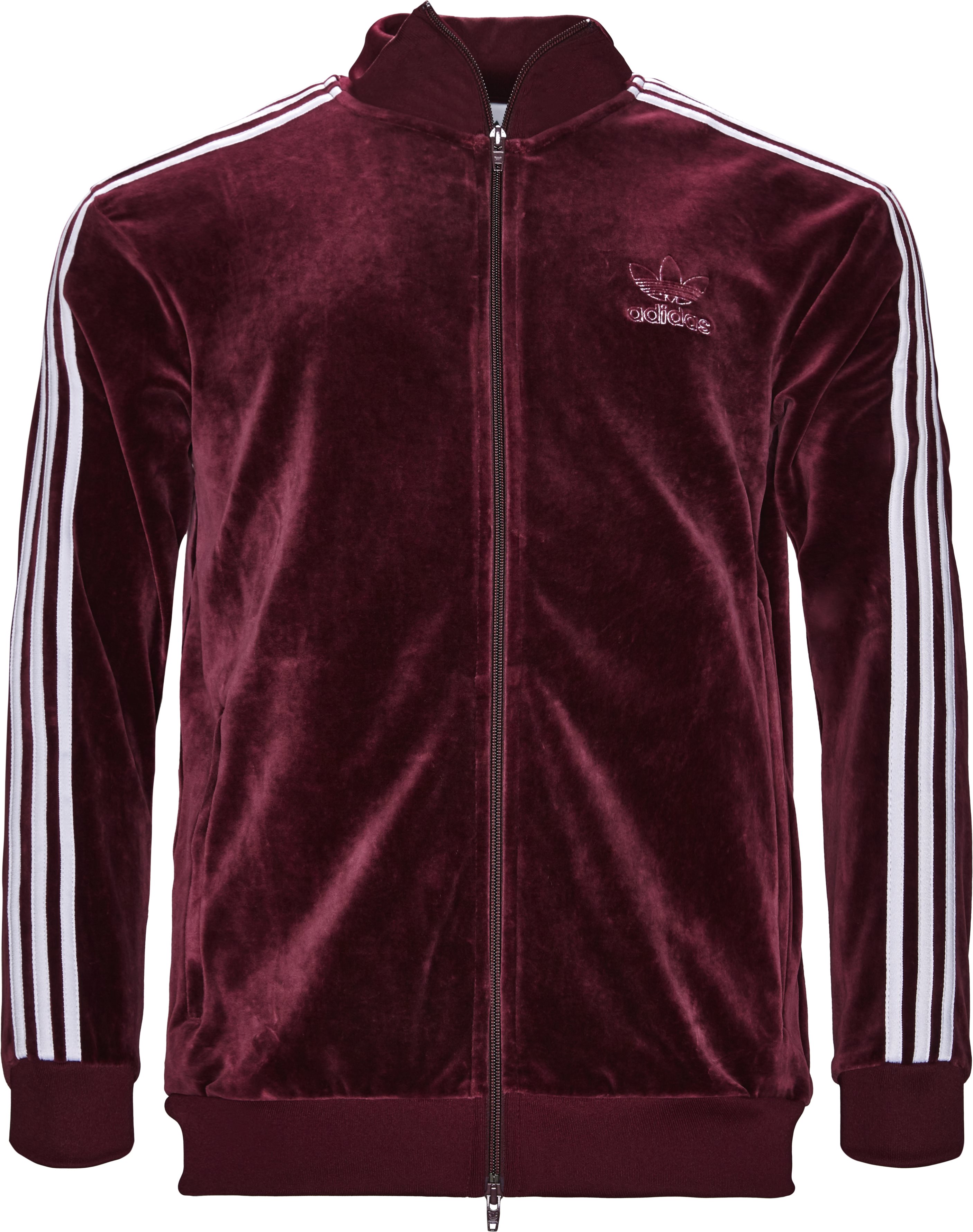 stout velsignelse Merchandiser VELOUR DH5789 Sweatshirts BORDEAUX fra Adidas Originals 349 DKK