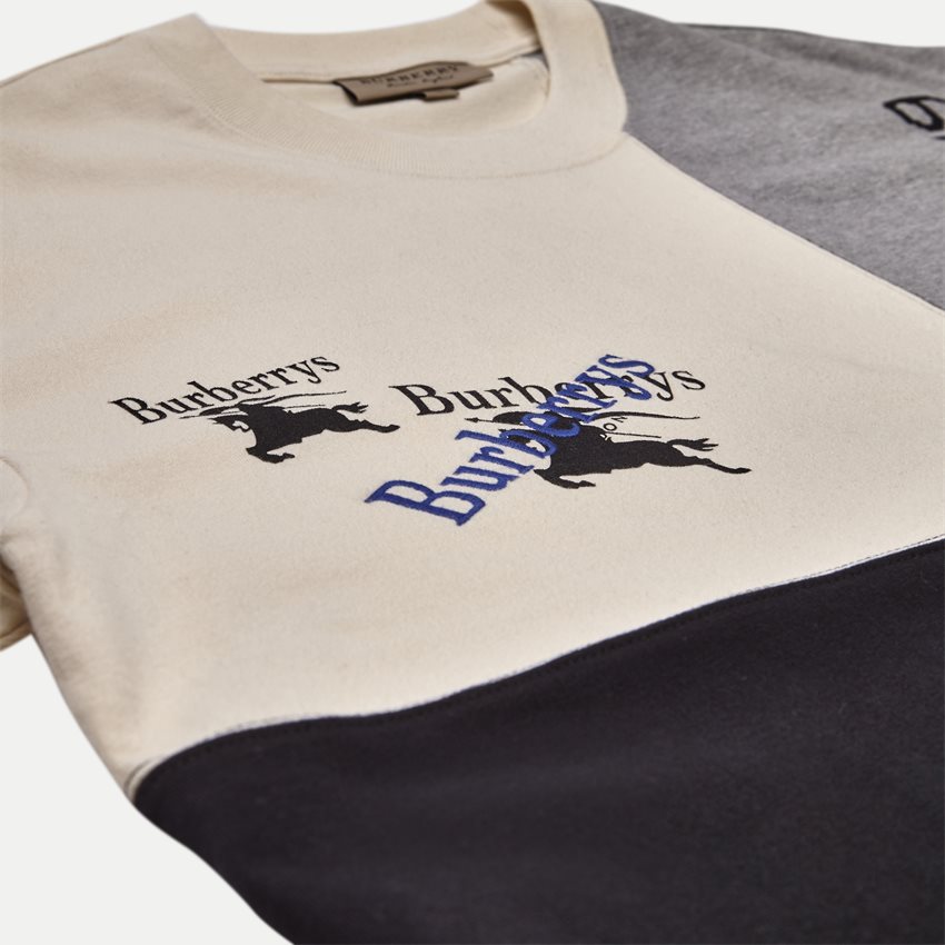 Burberry T-shirts PALAK 8003014 MULTI