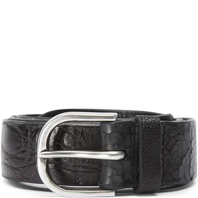 Orciani U07882 Bælter Black Billede af Orciani U07882 Bælter Black