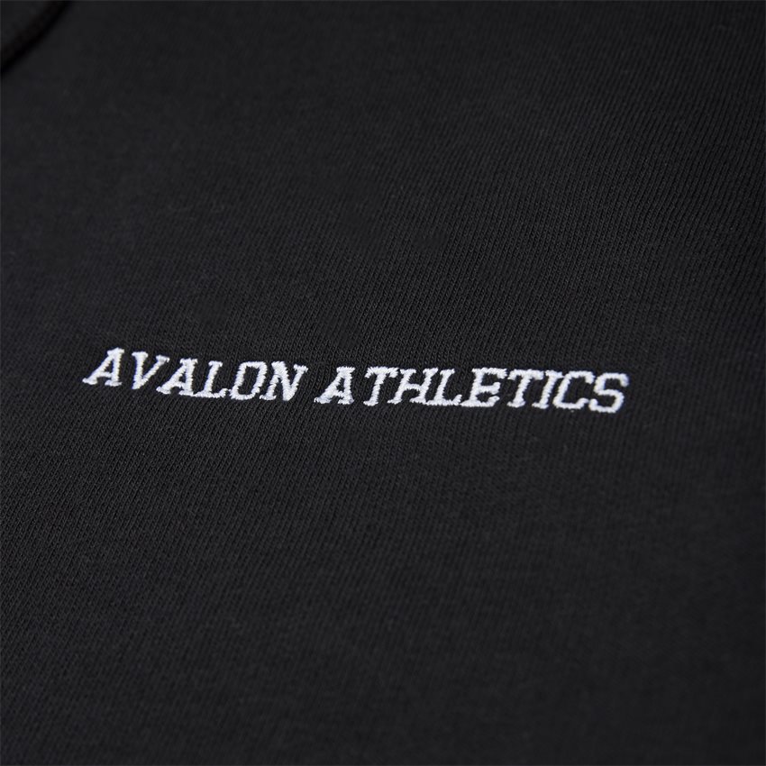 Avalon Athletics Sweatshirts DOLPHIN BLACK