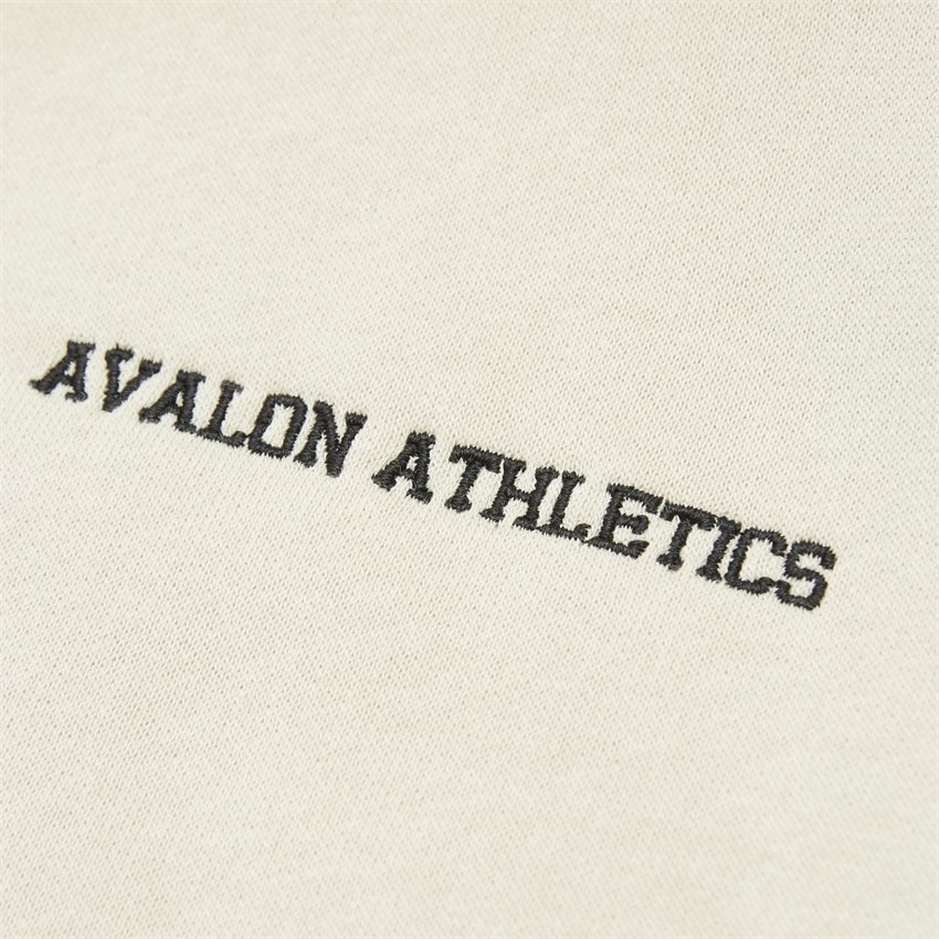 Avalon Athletics Sweatshirts WHITMANN DESERT