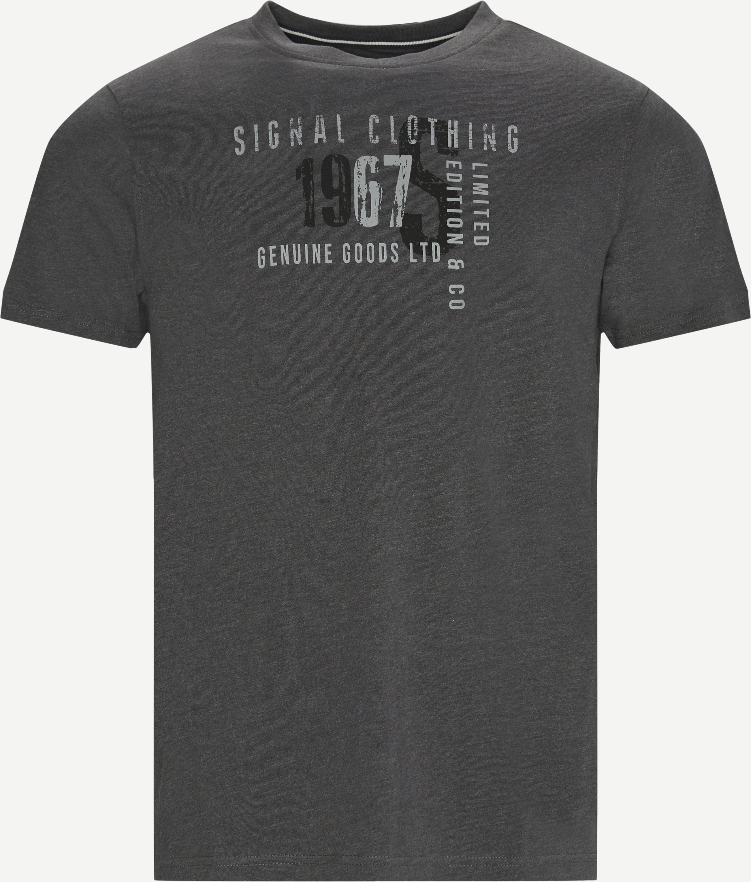 Wayne Logo T-shirt - T-shirts - Regular fit - Grey