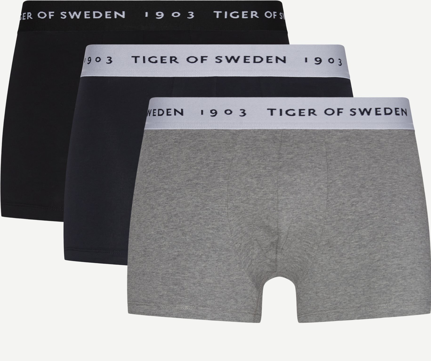 Tiger of Sweden Underkläder 69806 HERMOD Multi