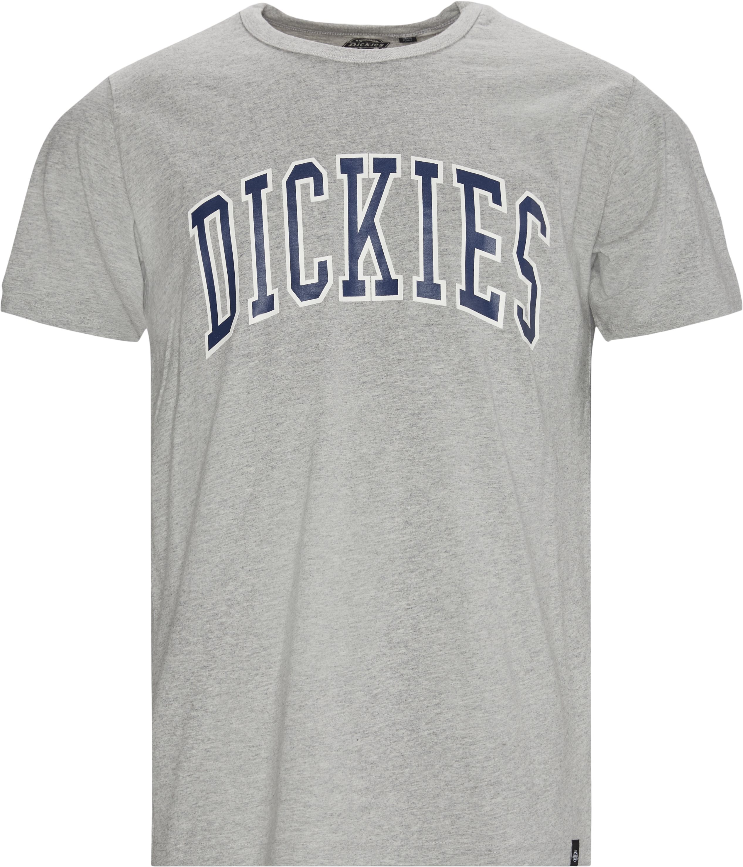 Dickies T-shirts PHILOMONT Grå