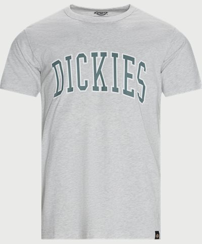 Dickies T-shirts AITKIN TEE Grå