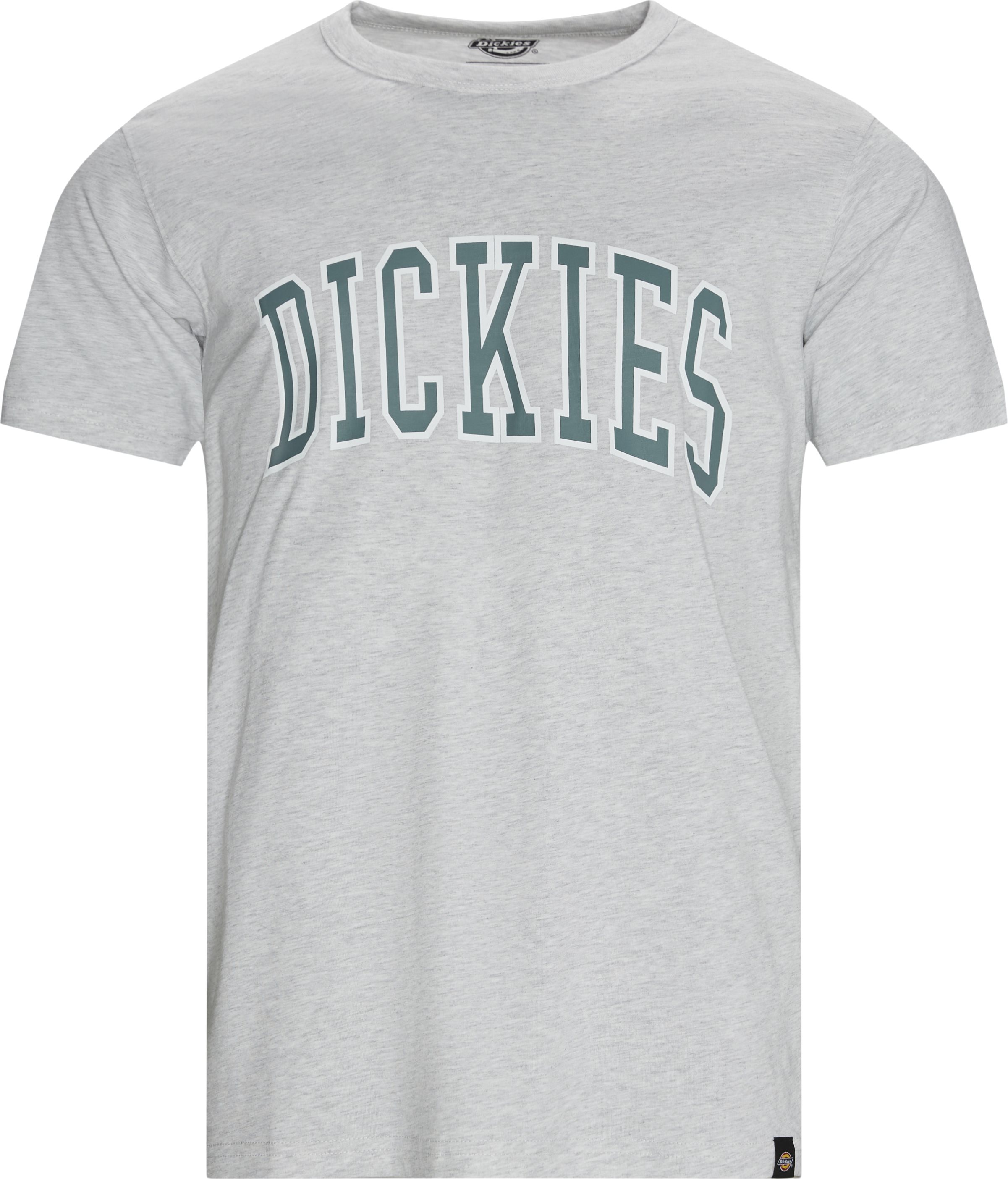 Dickies T-shirts AITKIN TEE Grey