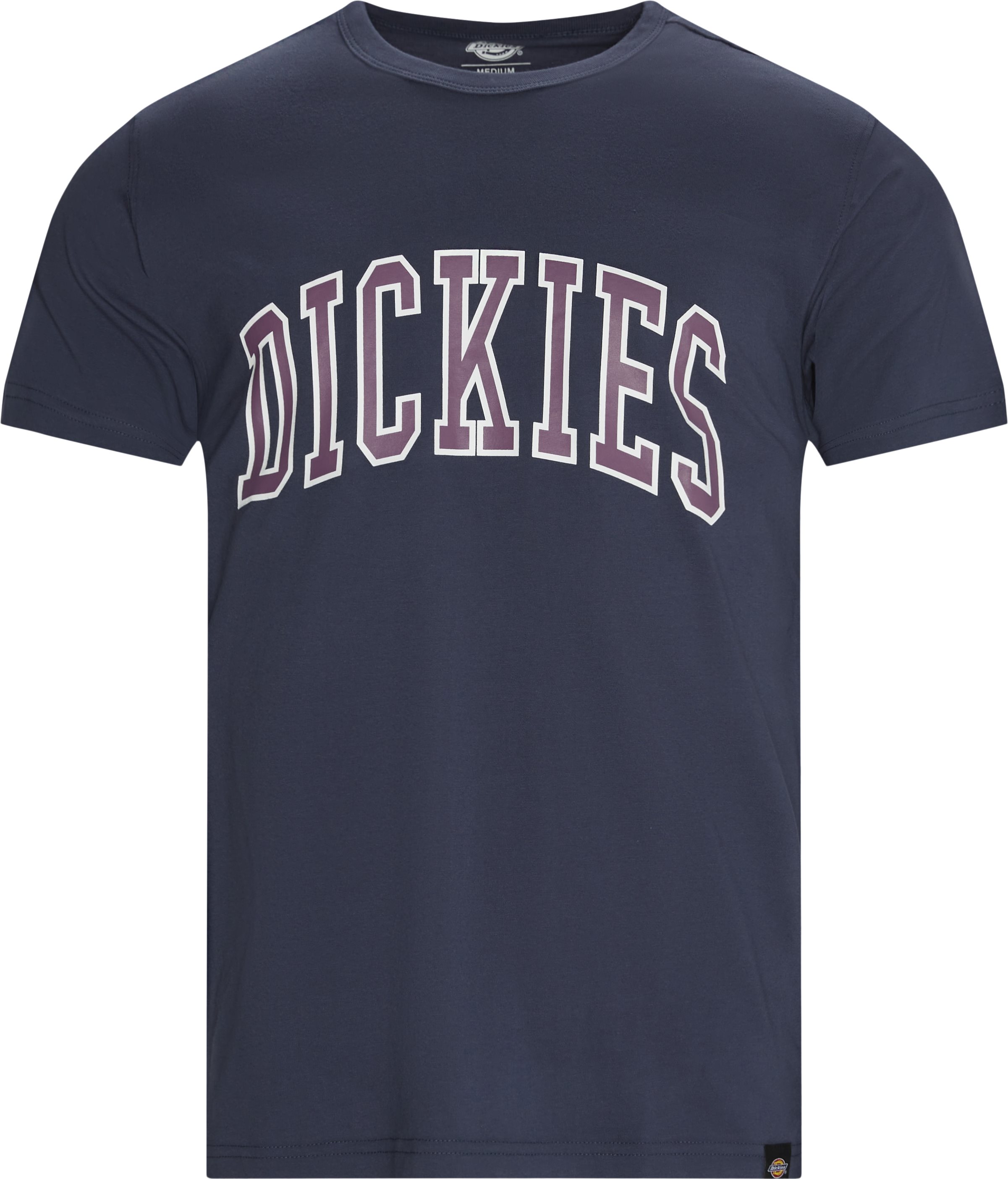 Dickies T-shirts AITKIN TEE Blå