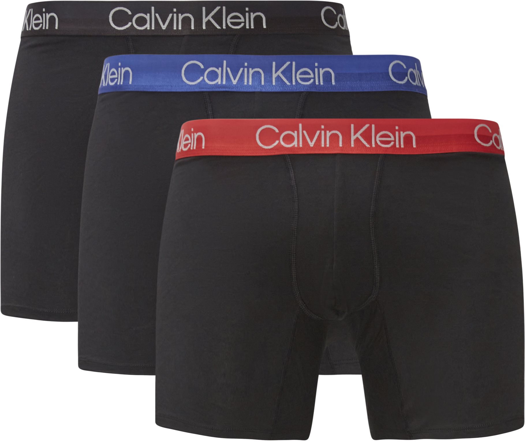 Calvin Klein Underkläder 000NB2971AXYD Svart
