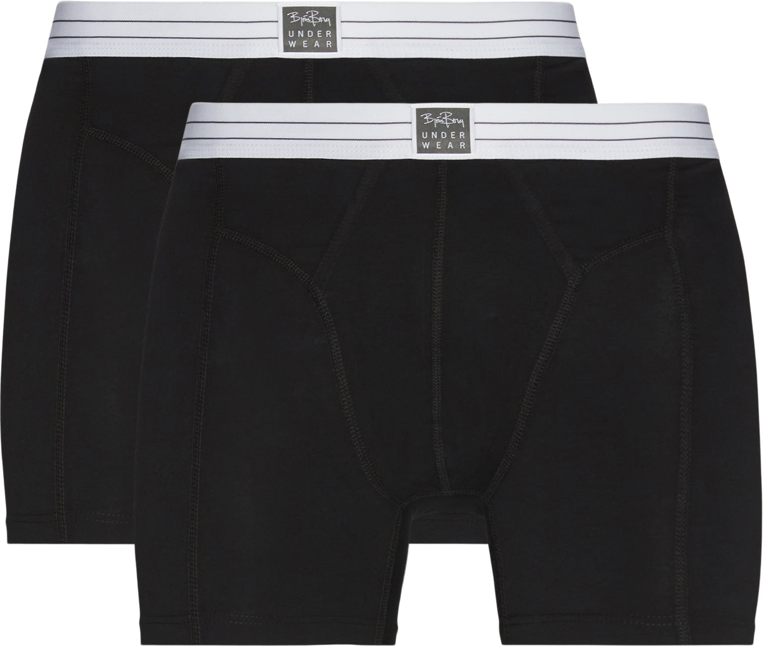 90651 Underbukser - Underwear - Regular fit - Black