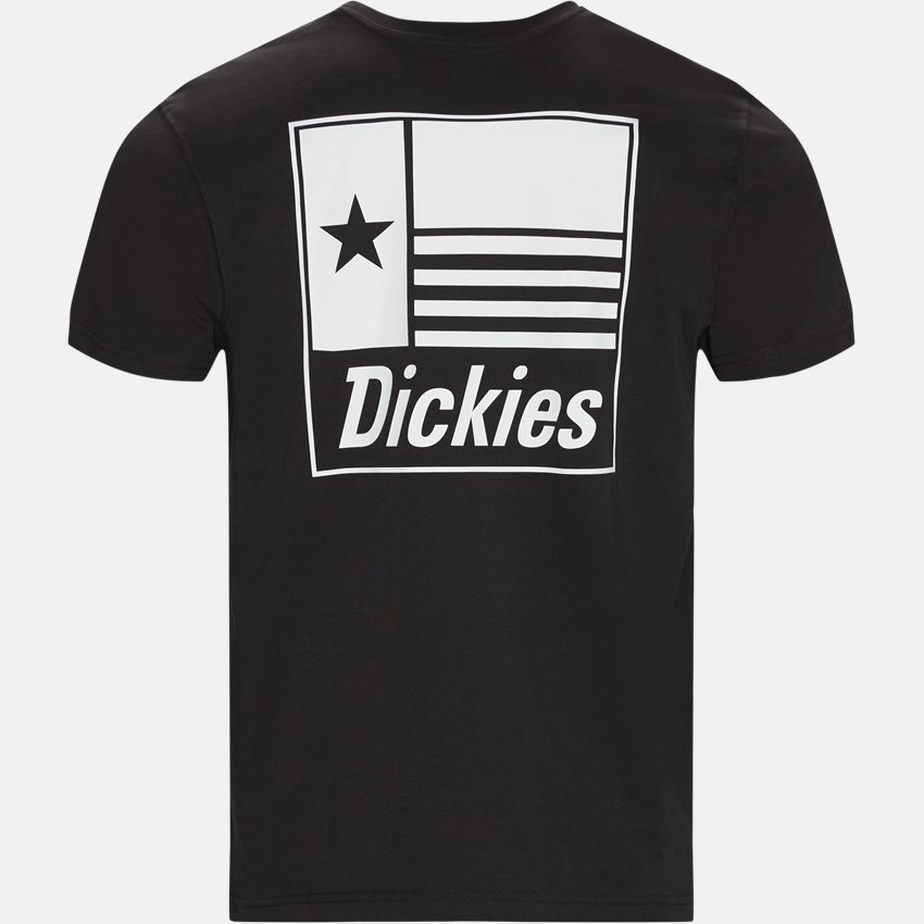 Dickies T-shirts TAYLOR TEE SORT