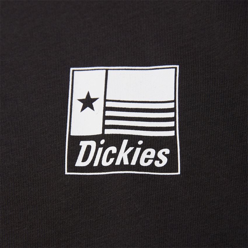 Dickies T-shirts TAYLOR TEE SORT