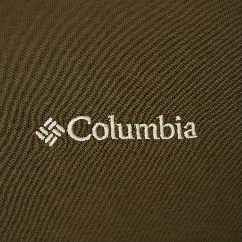 Columbia Sweatshirts MINAM RIVER HOOD GRØN