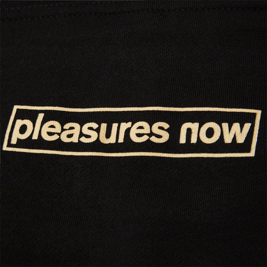 Pleasures Sweatshirts INTERNET HOODY BLACK