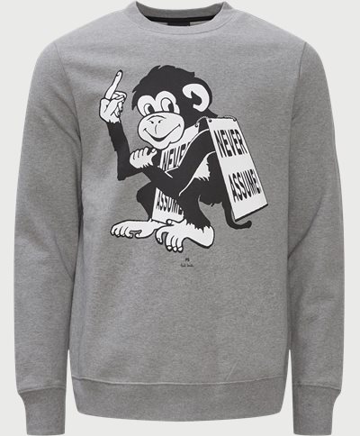 Monkey Sweatshirt Regular fit | Monkey Sweatshirt | Grå