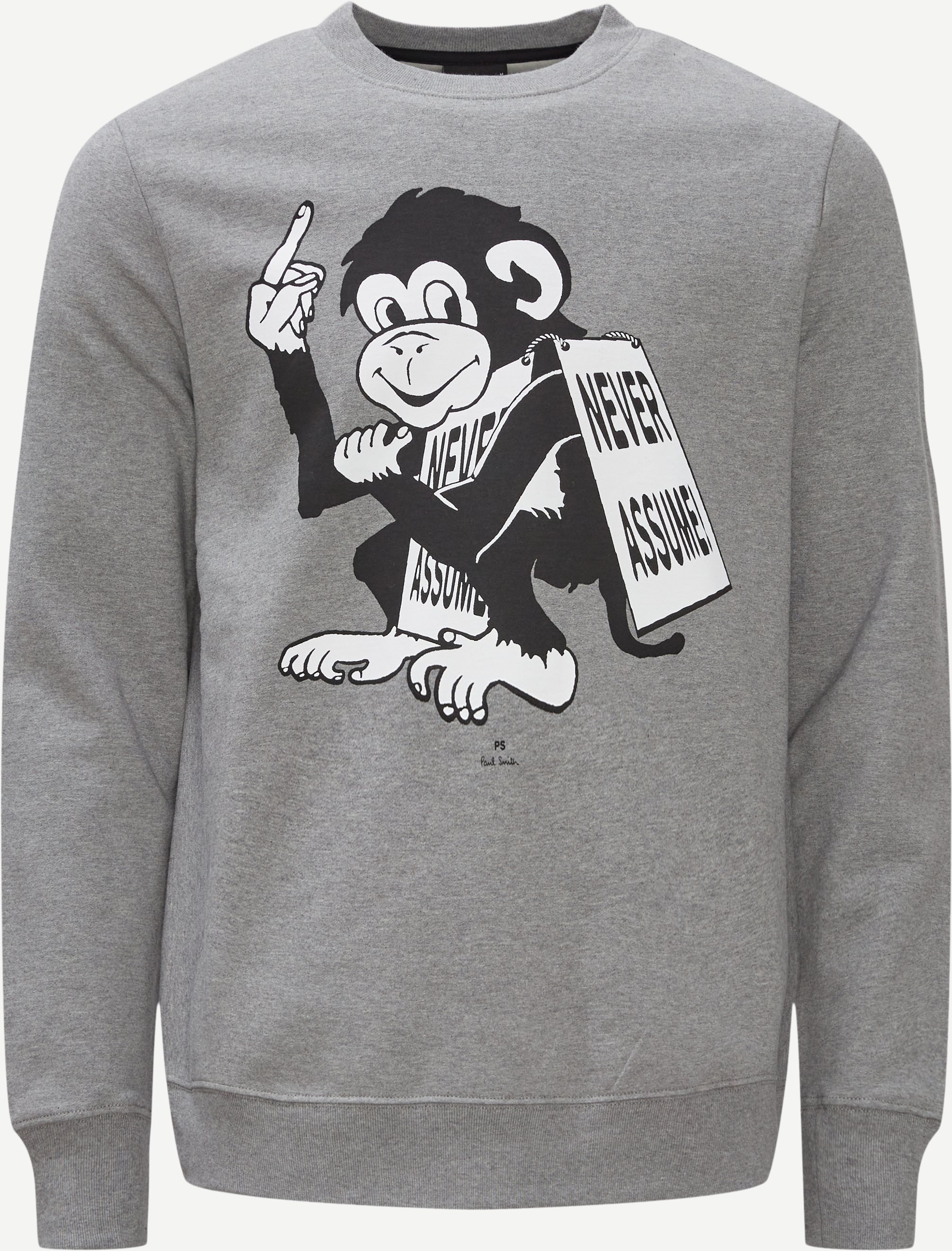 Monkey Sweatshirt - Sweatshirts - Regular fit - Grå