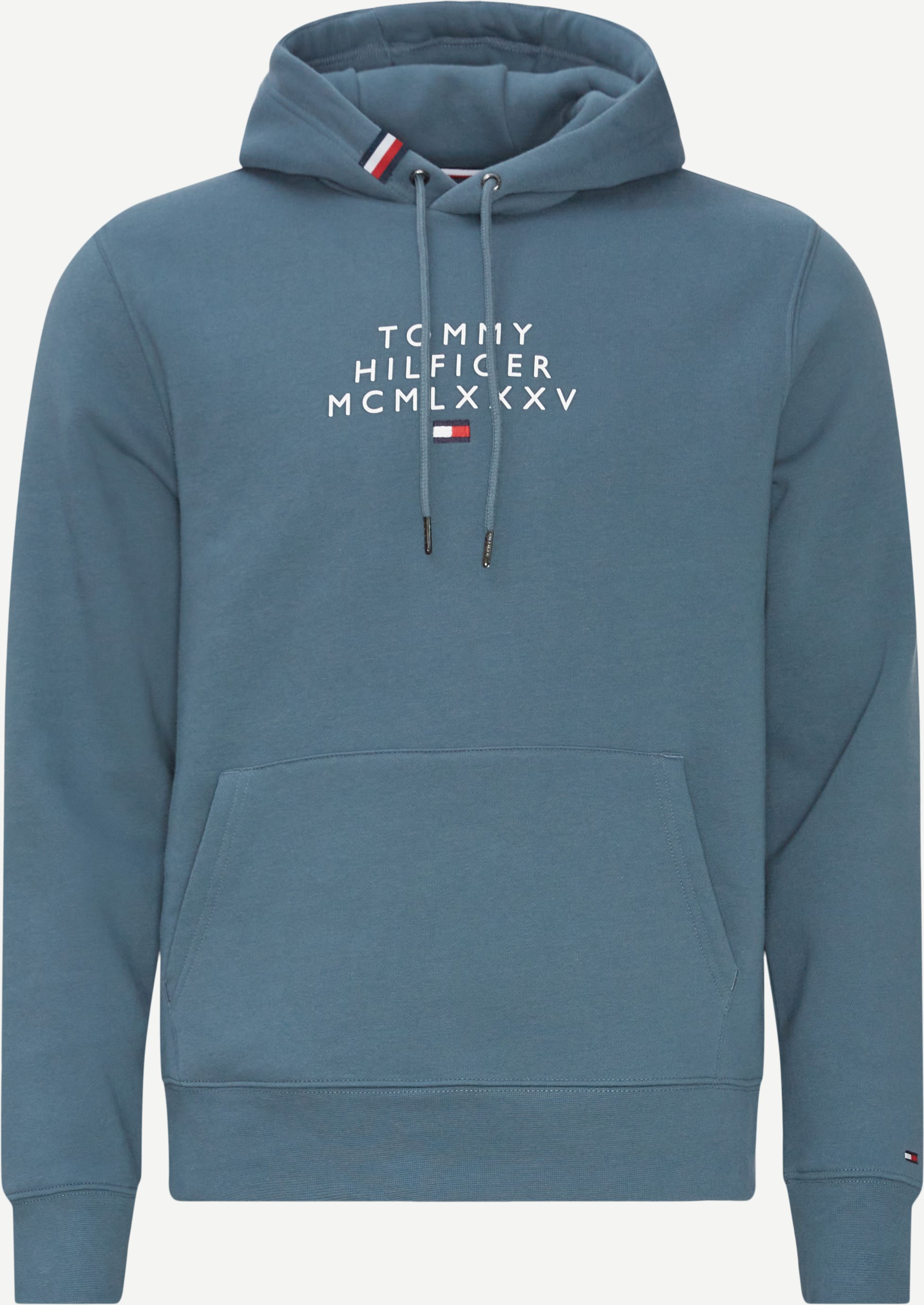 Tommy Hilfiger Sweatshirts 24538 CENTRE GRAPHIC HOODY Blå