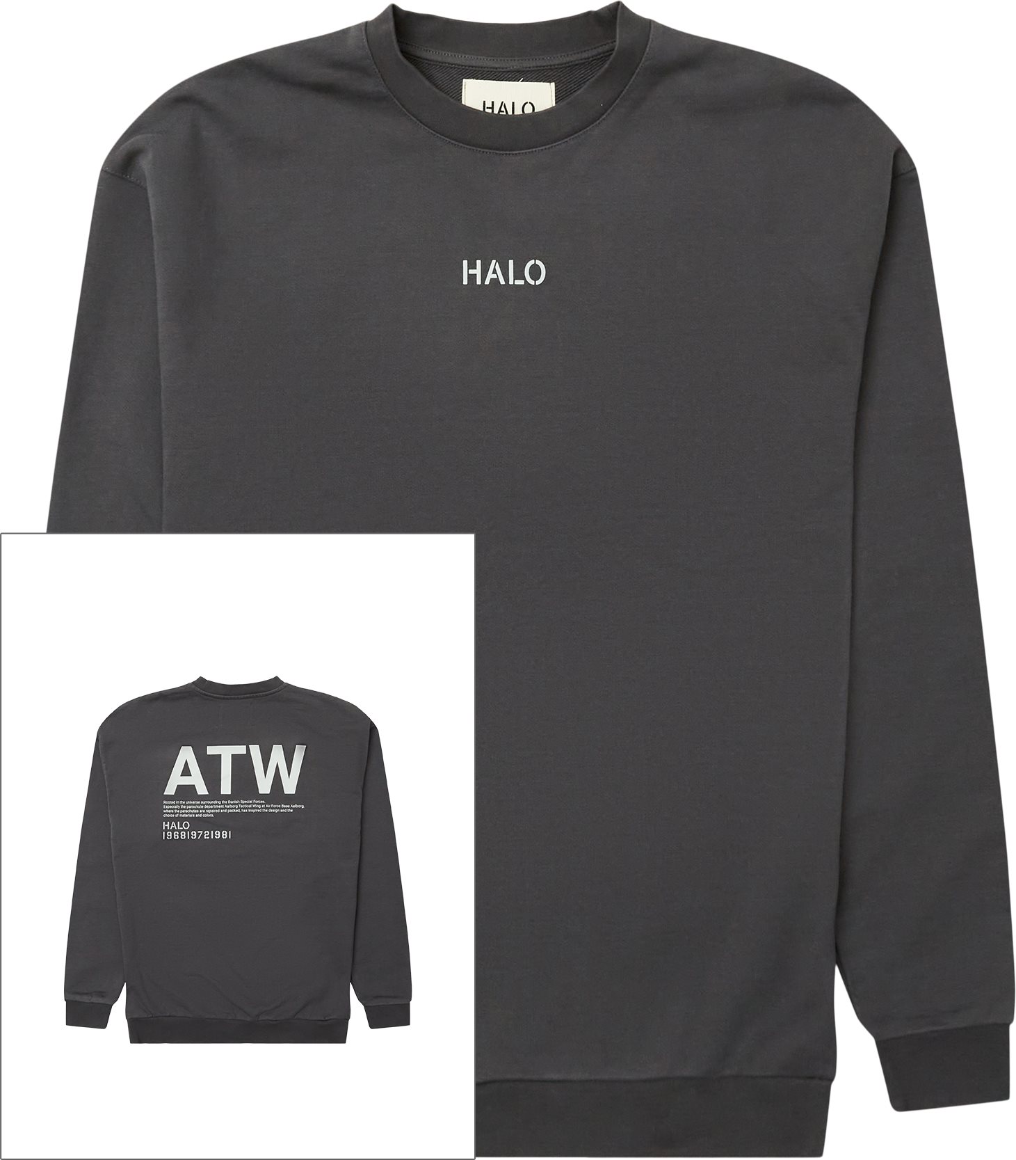 Graphic Crewneck - Sweatshirts - Regular fit - Grey