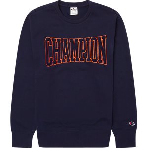 guiden plukke Glat Champion tøj | Køb Champion hoodie, sweatshirt & t-shirt her »