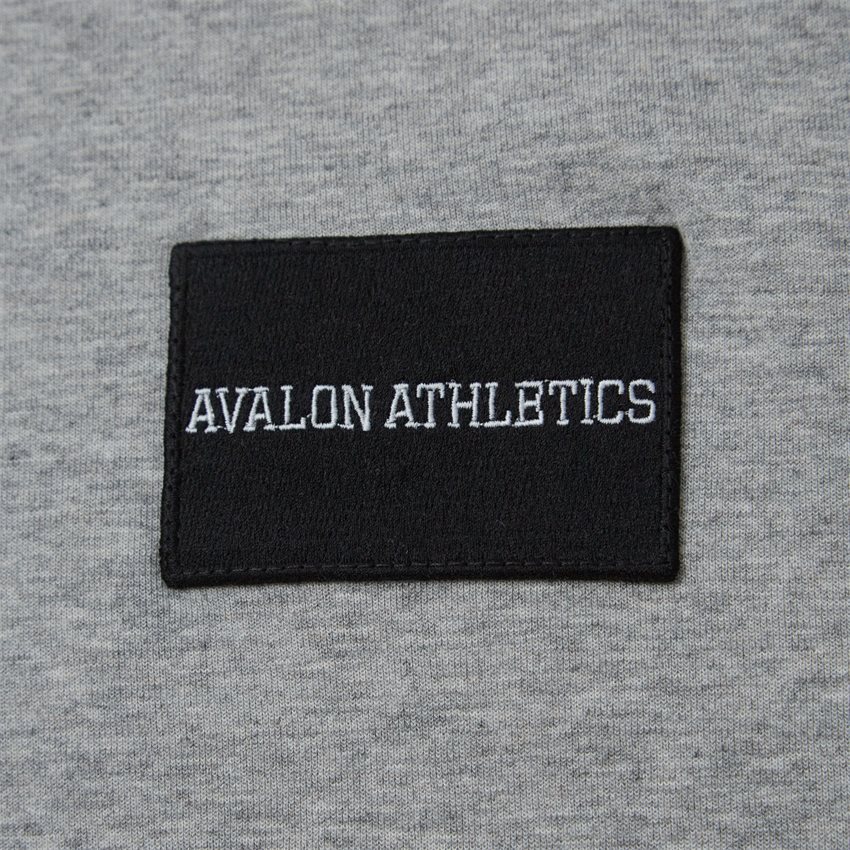 Avalon Athletics Sweatshirts DOLPHINE GREY