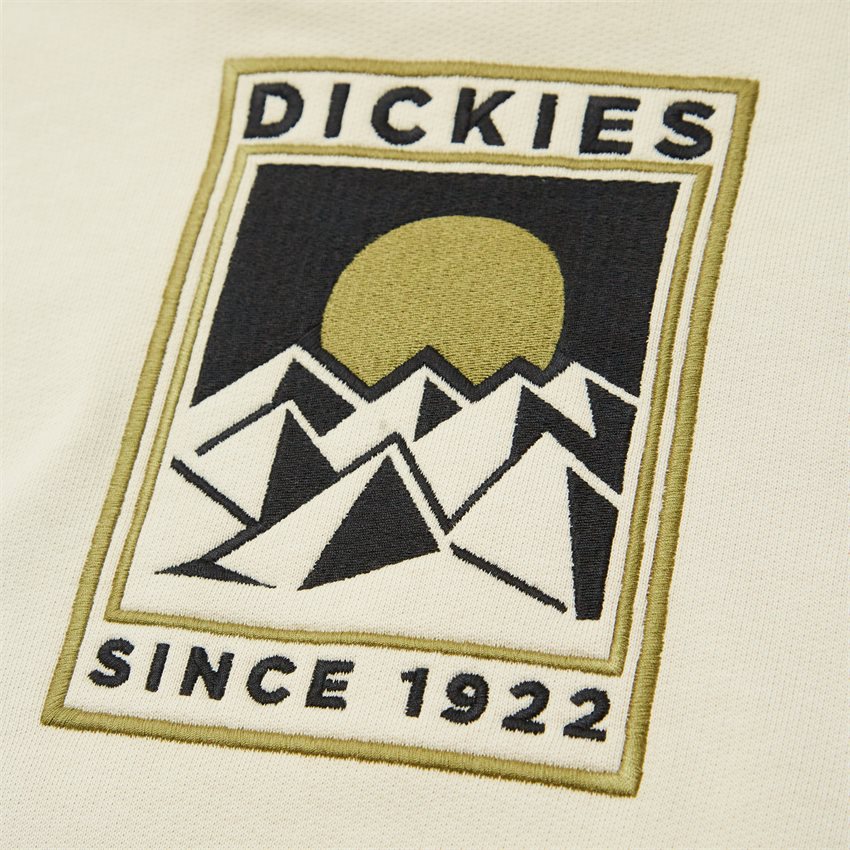 Dickies Sweatshirts PACIFIC HOODIE CEMENT