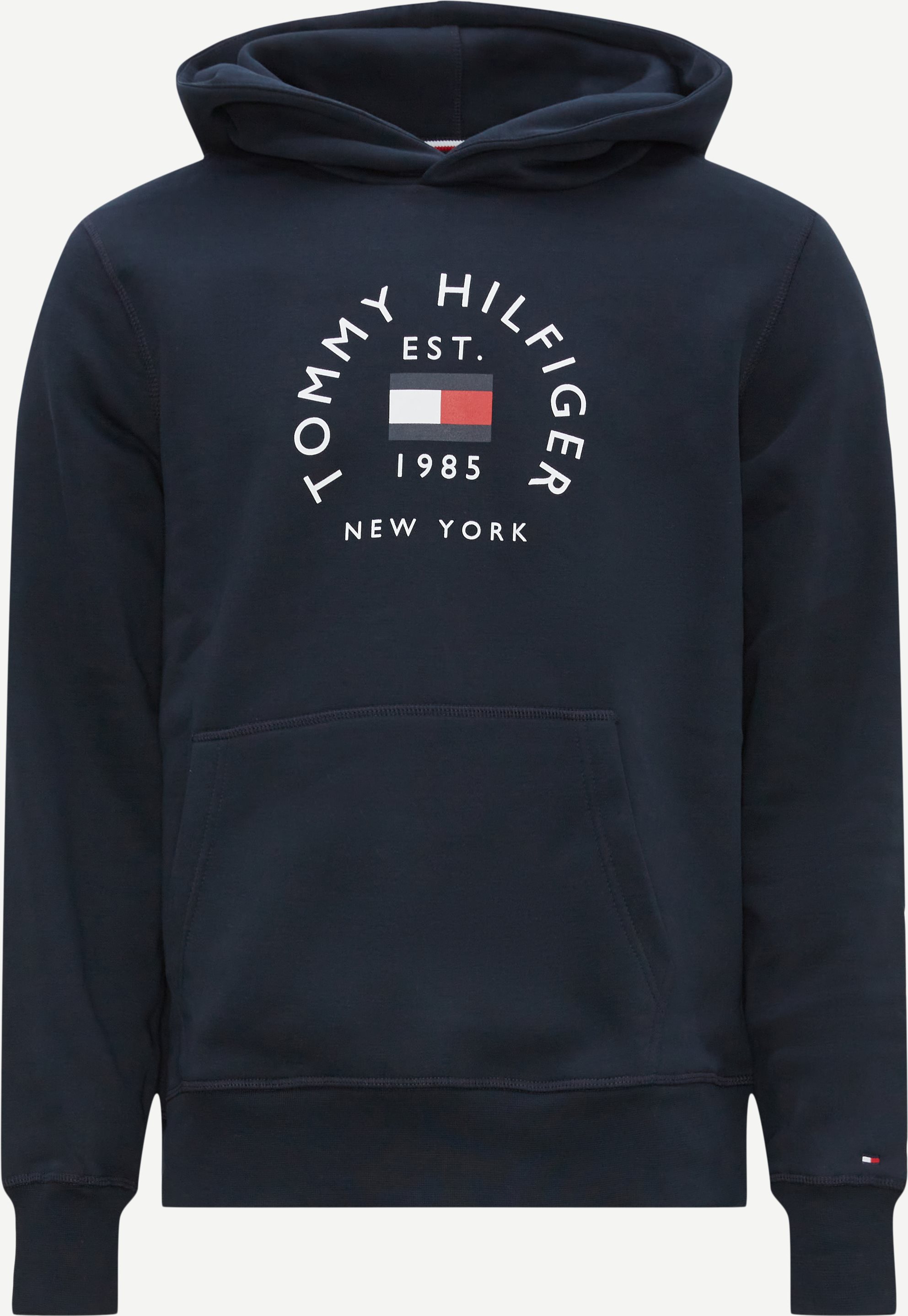 Tommy Hilfiger Sweatshirts 27842 HILFIGER FLAG ARCH SWEAT Blue