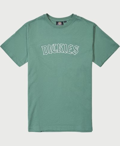 Dickies T-shirts UNION SPRING SS DK0A4Y1L  Grøn