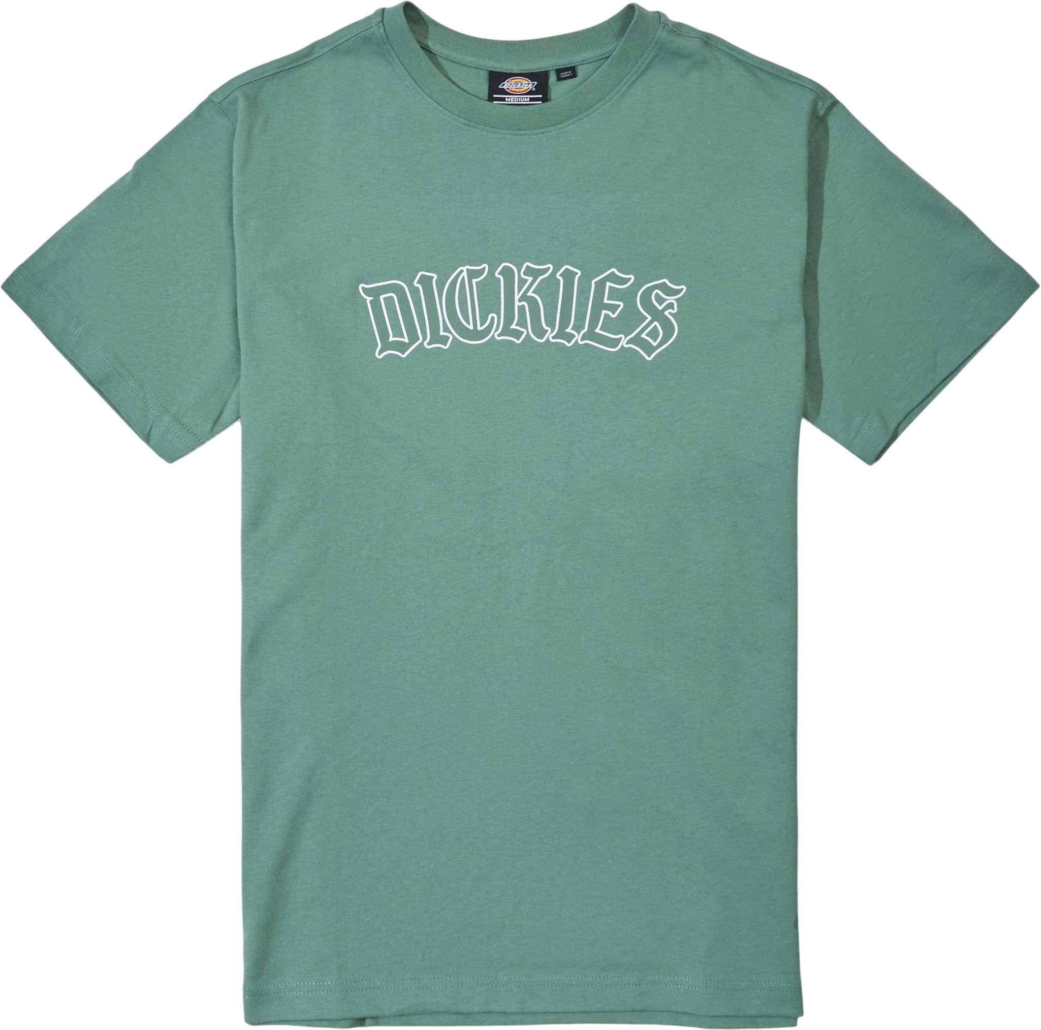 Dickies T-shirts UNION SPRING SS DK0A4Y1L  Grön