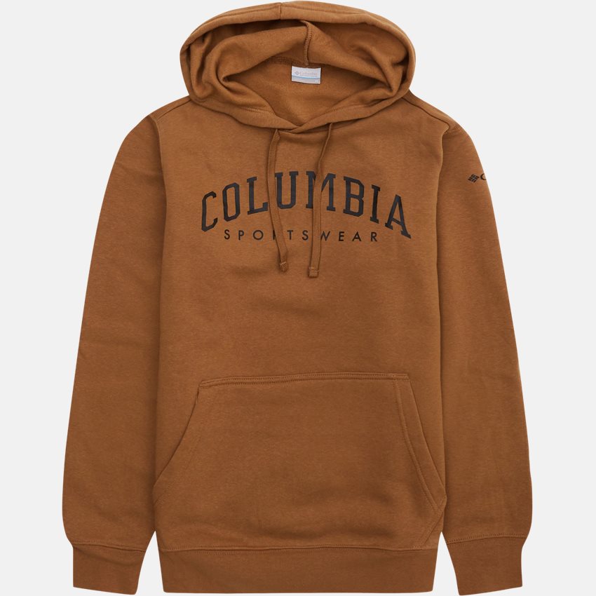 Columbia Sweatshirts COLUMBIA TREK HOODIE BRUN