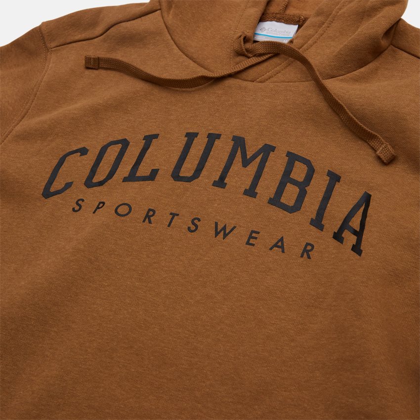 Columbia Sweatshirts COLUMBIA TREK HOODIE BRUN