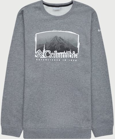Columbia Sweatshirts HART MOUNTAIN GRAPHIC CREW Grey