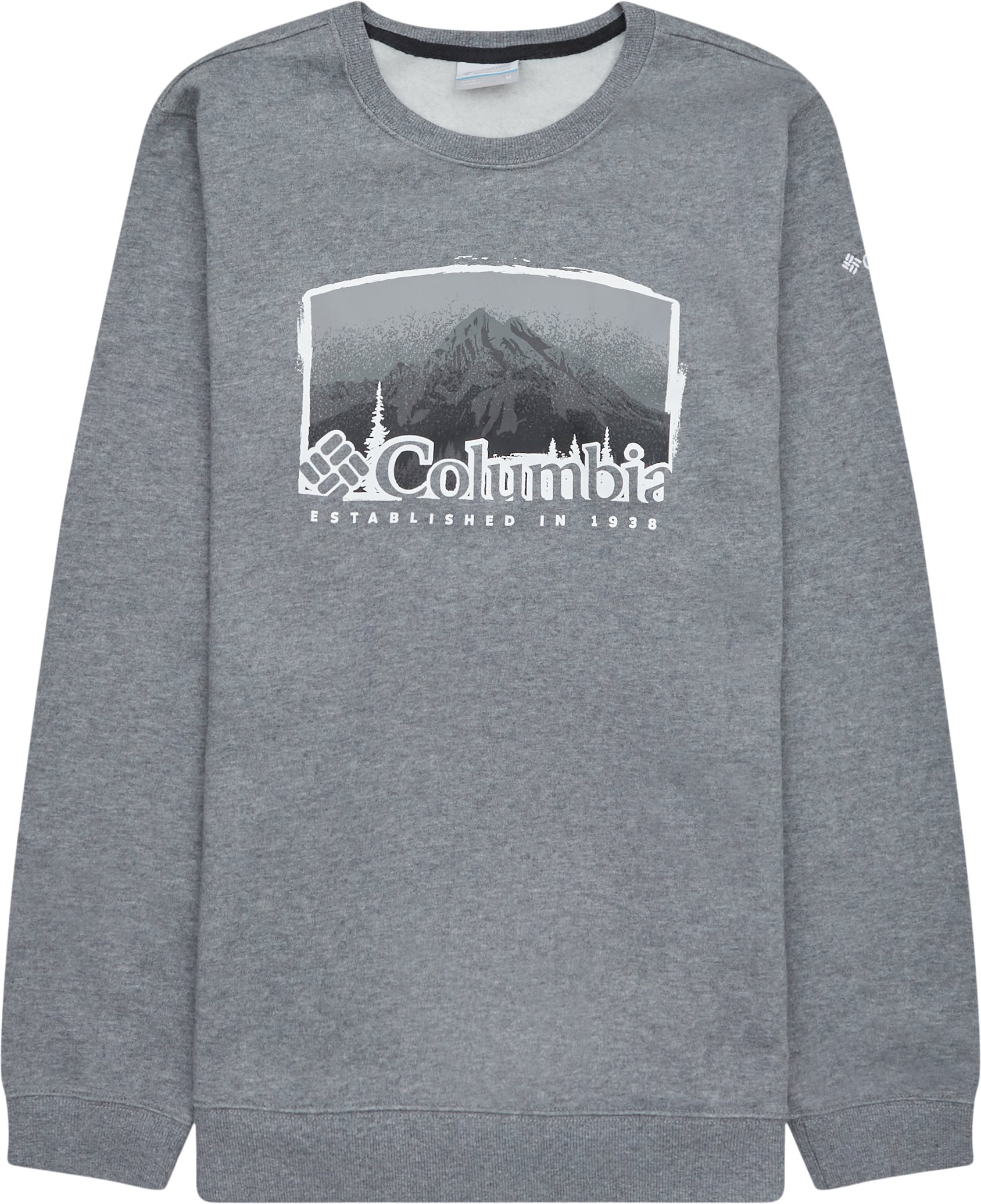Columbia Sweatshirts HART MOUNTAIN GRAPHIC CREW Grey