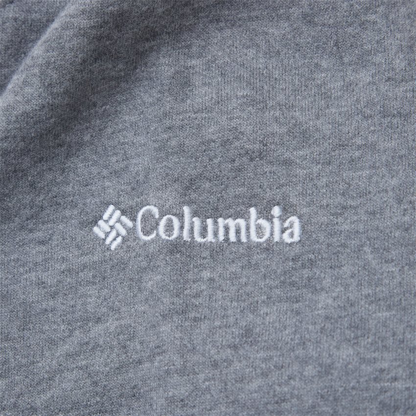 Columbia Sweatshirts HART MOUNTAIN GRAPHIC CREW GRÅ