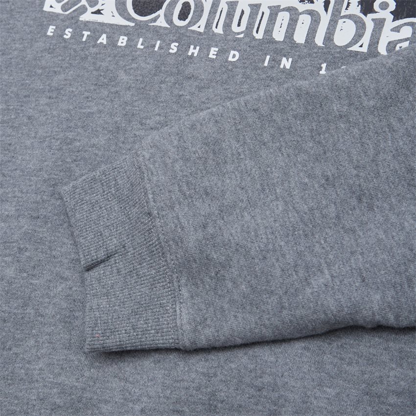 Columbia Sweatshirts HART MOUNTAIN GRAPHIC CREW GRÅ