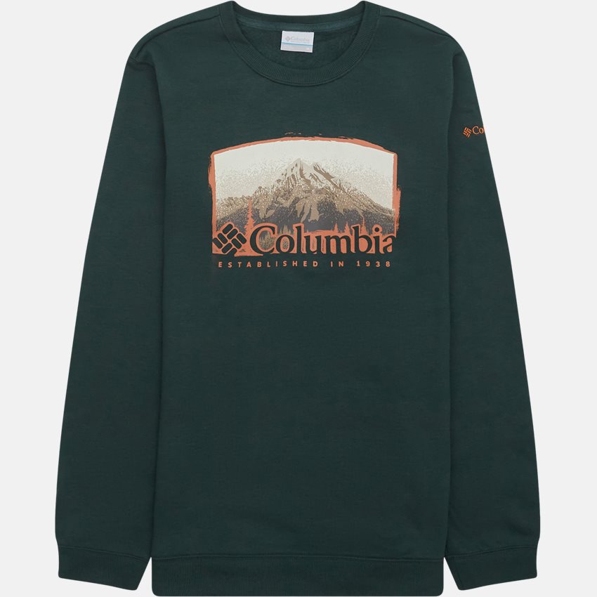 Columbia Sweatshirts HART MOUNTAIN GRAPHIC CREW GRØN
