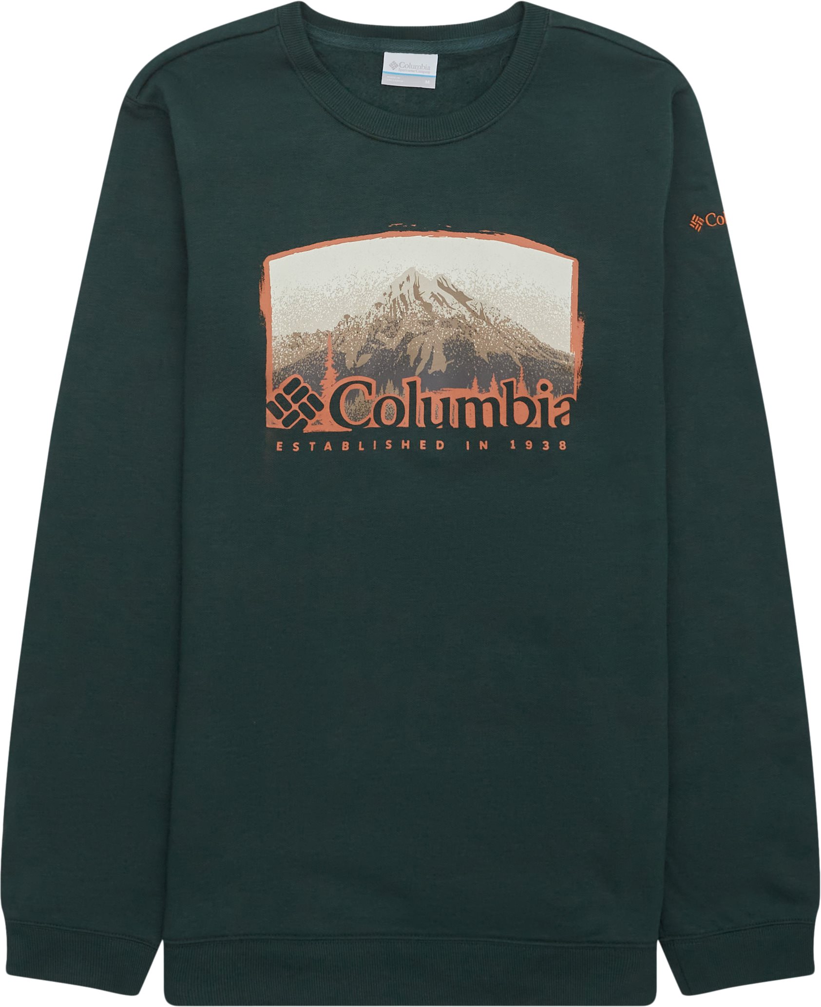 Columbia Sweatshirts HART MOUNTAIN GRAPHIC CREW Green