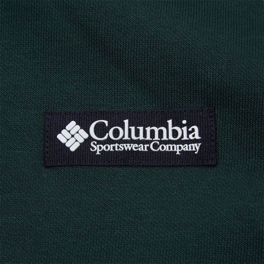 Columbia Sweatshirts BALLISTIC RIDGE HOODIE GRØN