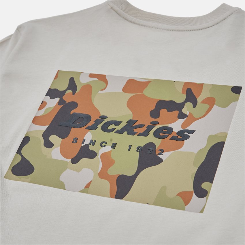 Dickies T-shirts ARTONDALE BOX TEE SS SAND