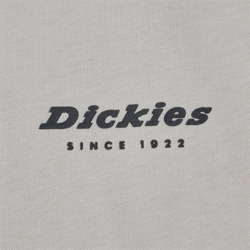 Dickies T-shirts ARTONDALE BOX TEE SS SAND