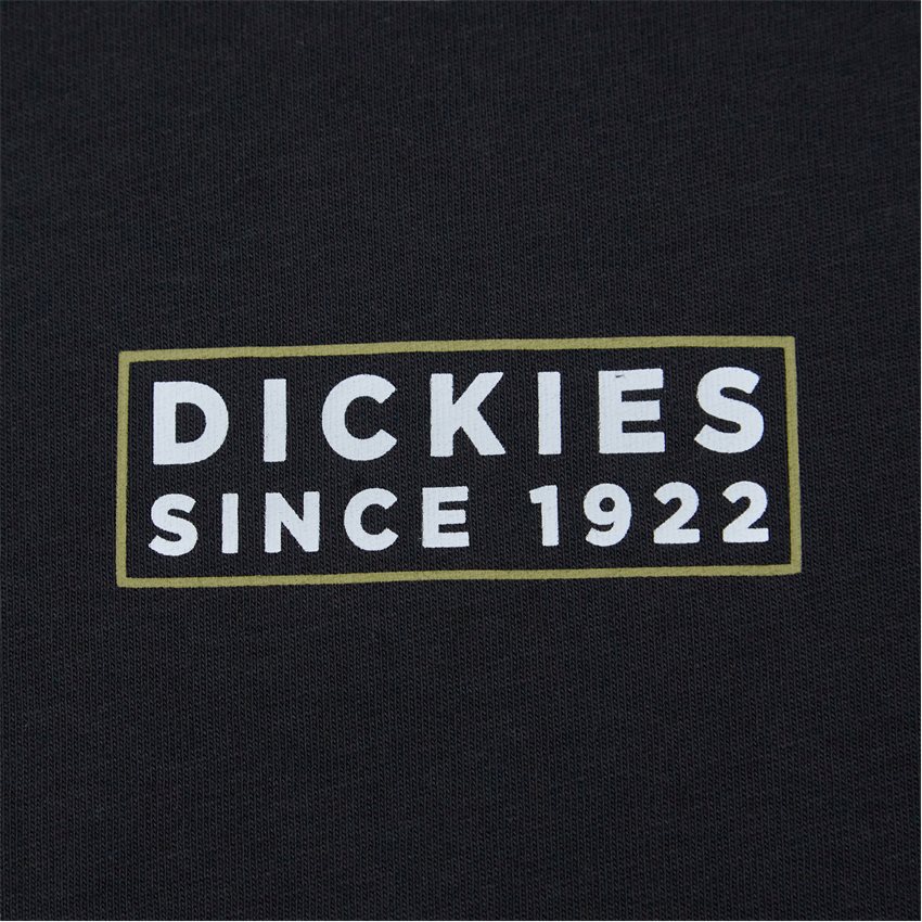 Dickies T-shirts PACIFIC TEE SS SORT