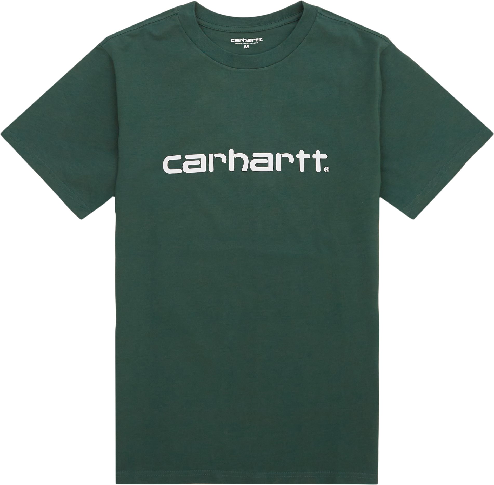 Carhartt WIP T-shirts S/S SCRIPT T-SHIRT I031047. Green