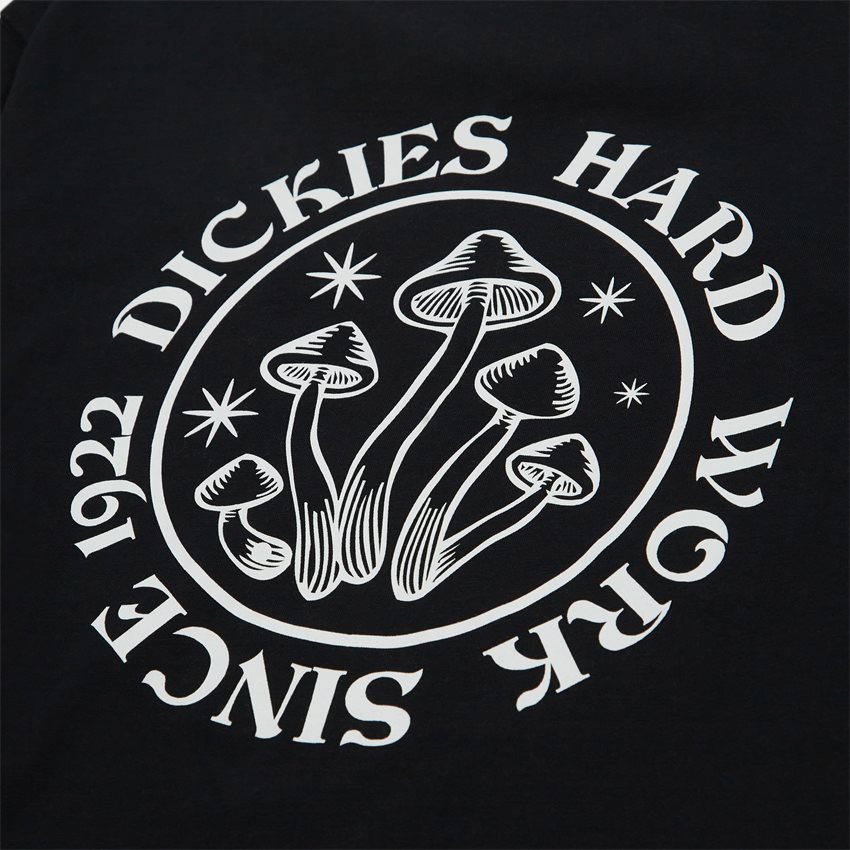 Dickies T-shirts BAYSIDE DK0A4YBSS SORT