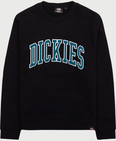 Dickies Sweatshirts AITKIN DK0A4XABS Black