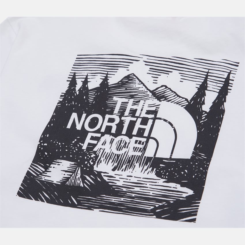 The North Face T-shirts S/S REDBOX CELEBRATION TEE NF0A7X1KFN41 HVID