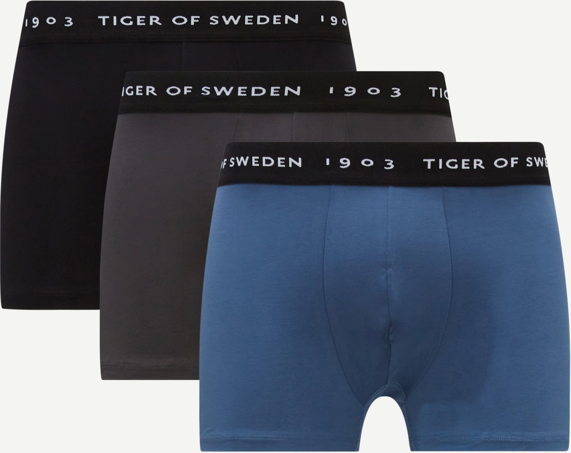 Tiger of Sweden Underkläder T69806007 HERMOD Blå