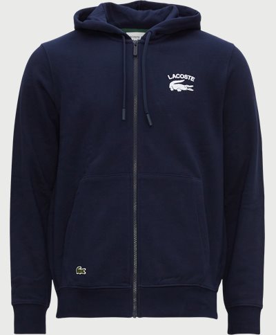 Lacoste Sweatshirts SH2481 Blå