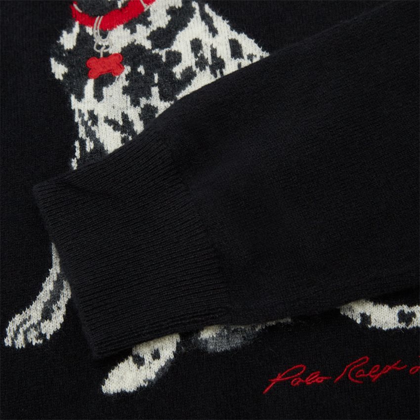 Polo Ralph Lauren Knitwear 710916797 SORT