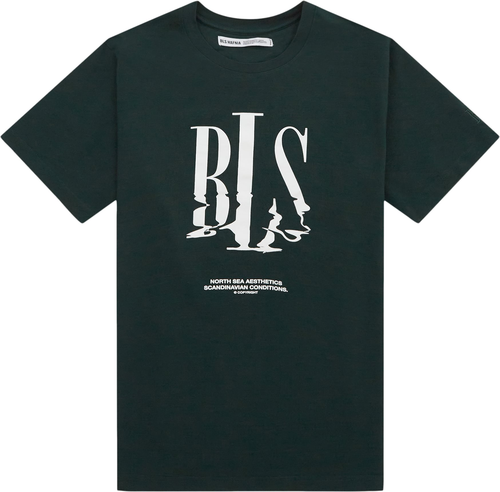 BLS T-shirts NORTH SEA TEE 202308059 Green