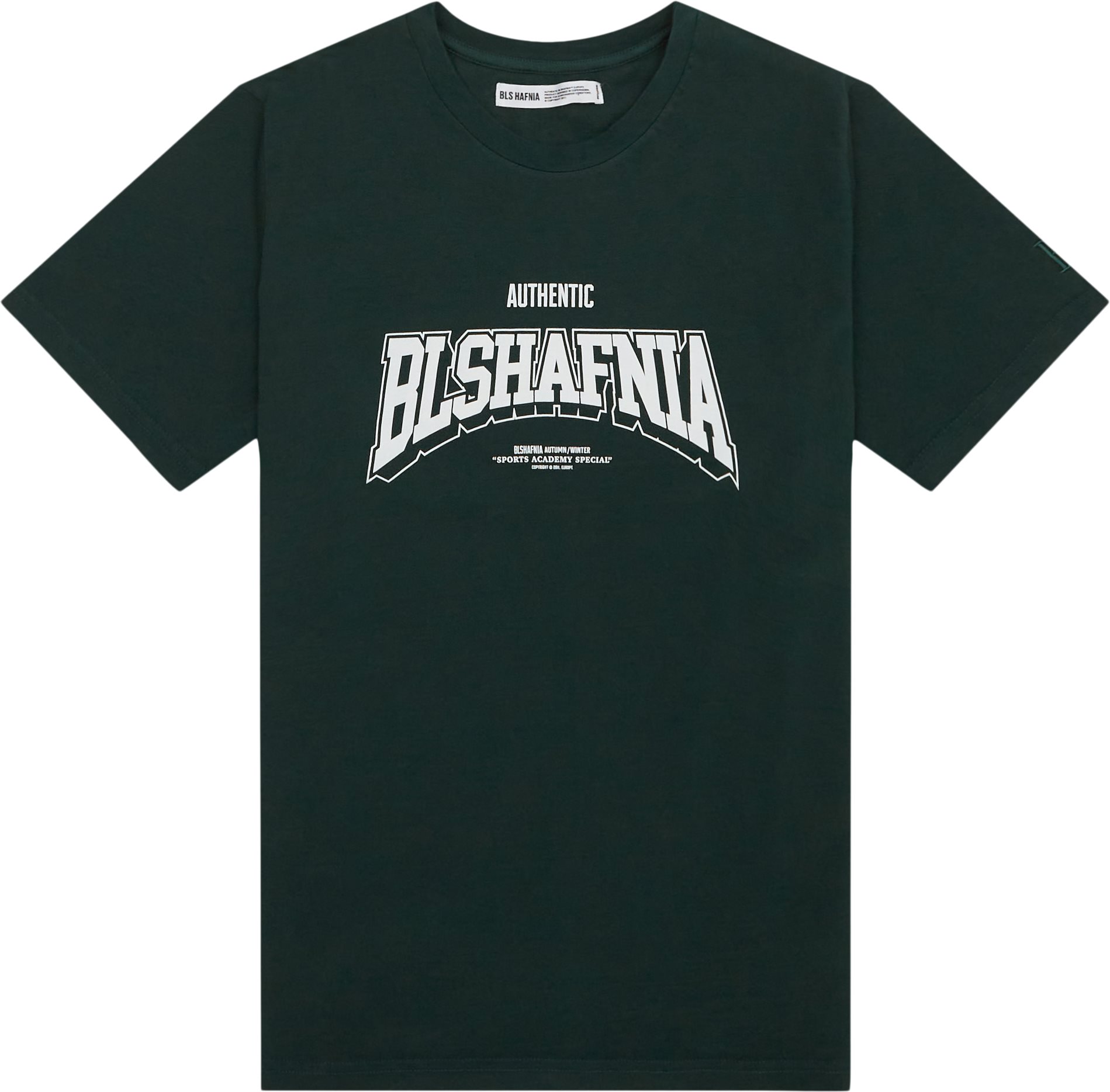 BLS T-shirts COLLEGE 2 TEE 202308048 Green