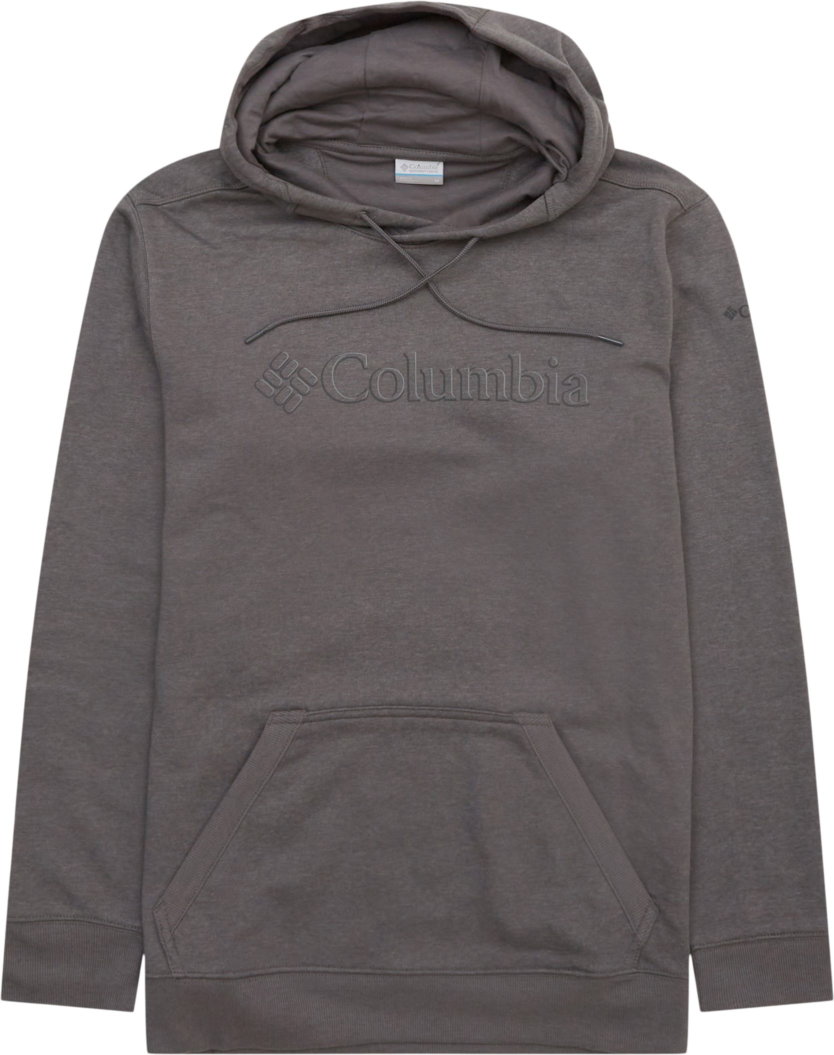 Columbia Sweatshirts CSC BASIC LOGO II HOODIE 1681664 Grey